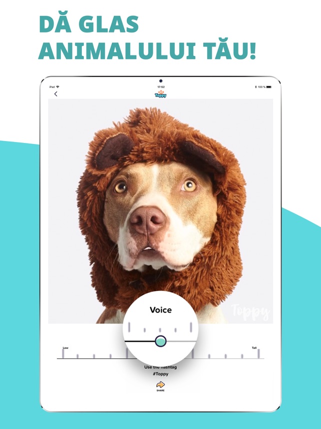 Toppy - Animale vorbitoare în App Store