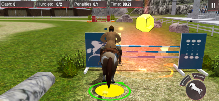 Champion Of Horse Jumping Show