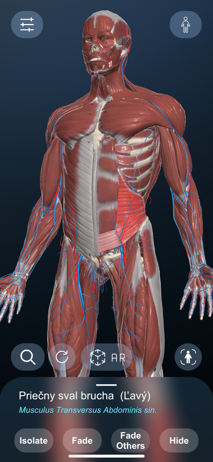 High School Anatomy 21