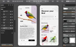 Capture 4 Vector Graphic Design & UI iphone