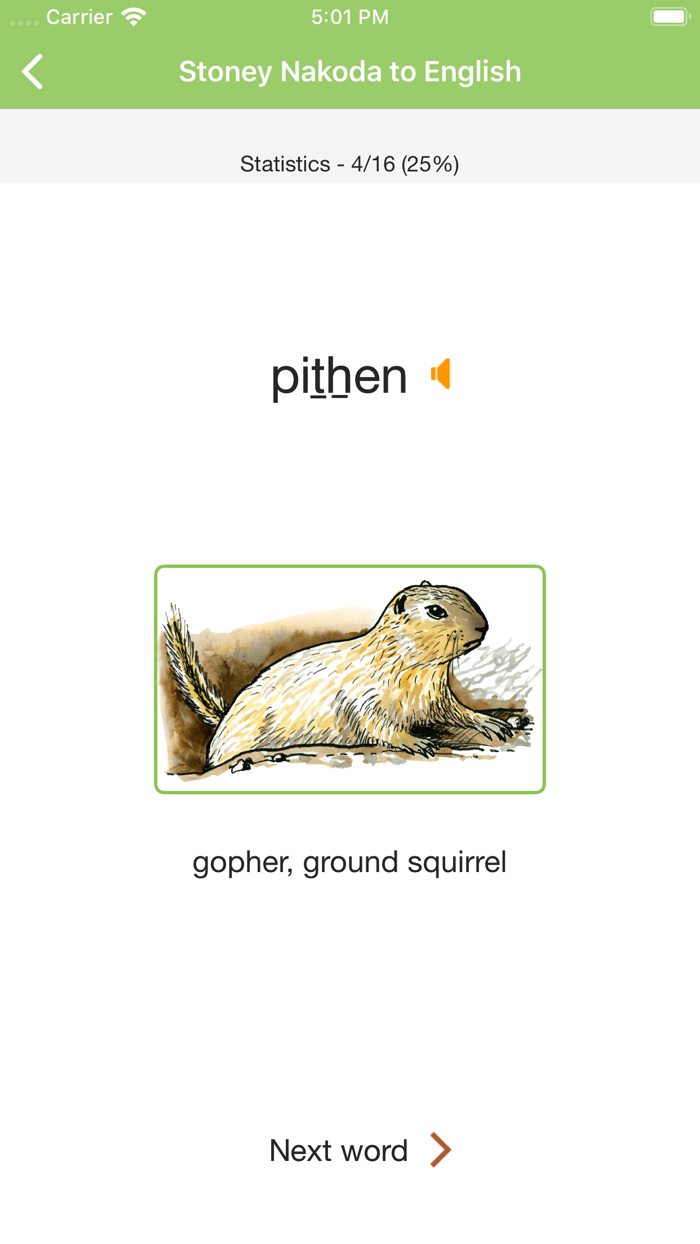 Stoney Nakoda Vocab Builder