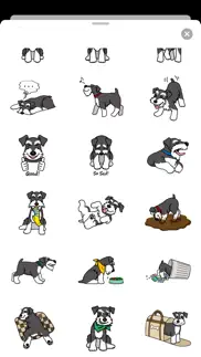 miniature schnauzer dog icon problems & solutions and troubleshooting guide - 1