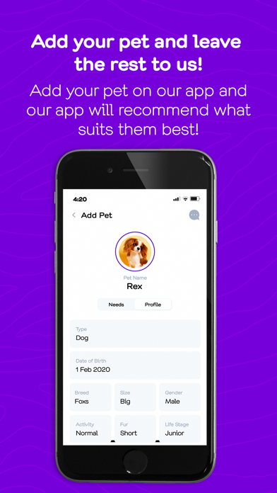 Pawsket Screenshot