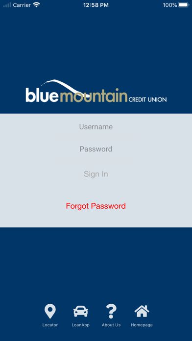 Blue Mountain Credit Union Screenshot