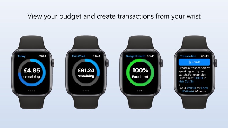 Budgeted screenshot-6