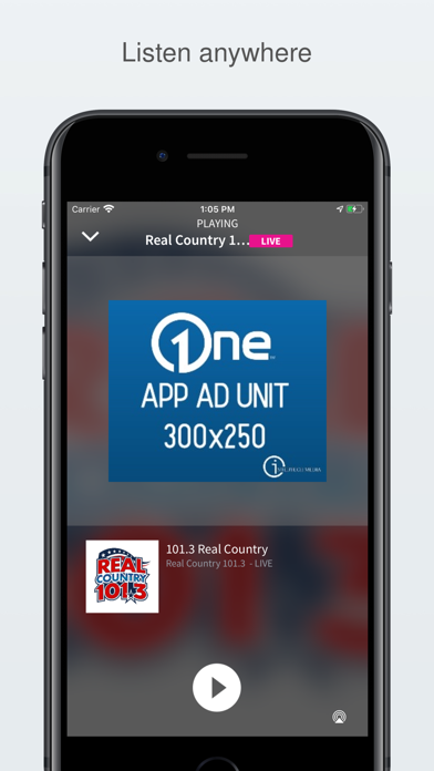 101.3 Real Country Screenshot