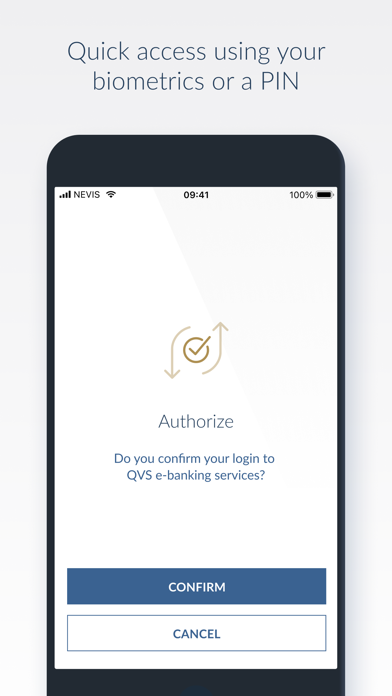 QVS Access - secure login screenshot 3