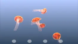 jellyfish chrysaora iphone screenshot 2