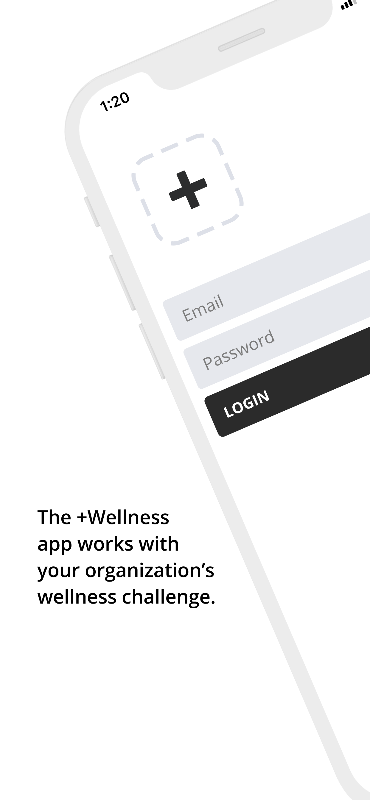+Wellness