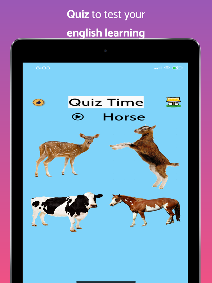 Learn English Flashcards