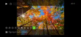 Game screenshot Tranquility-Natural Relaxation apk