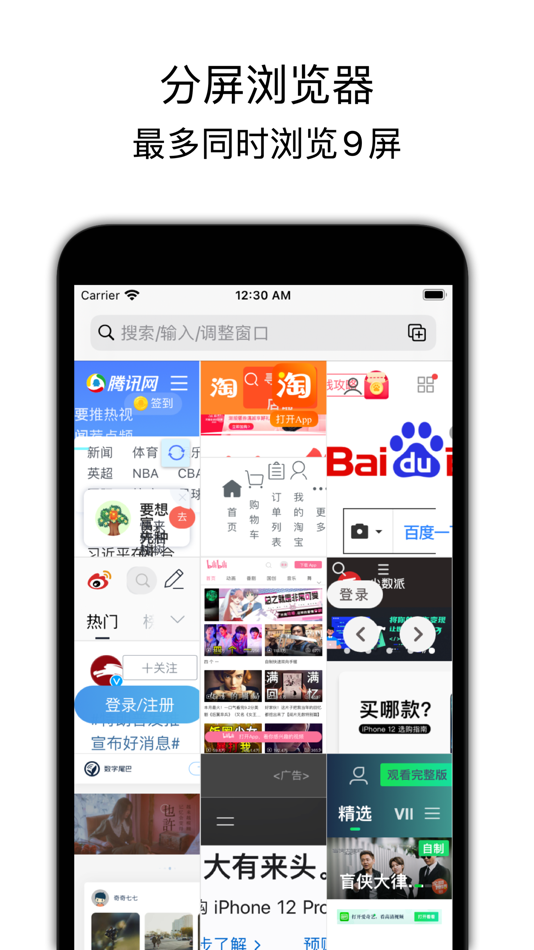 分屏浏览器 (iOS) 由: 布尔 存 分屏浏览器 (iOS) 由: 布尔 存
