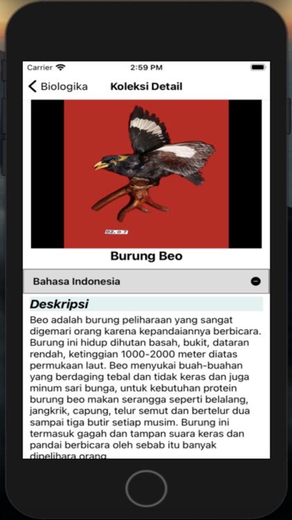 AppMuseumAdityawarman screenshot-6
