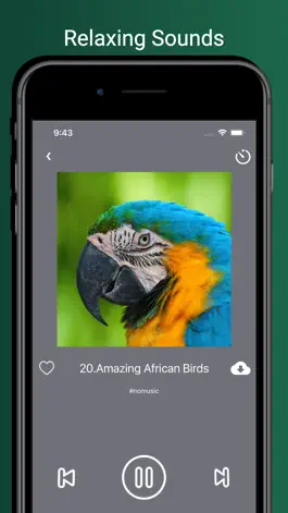 Game screenshot Bird Sounds!!! apk