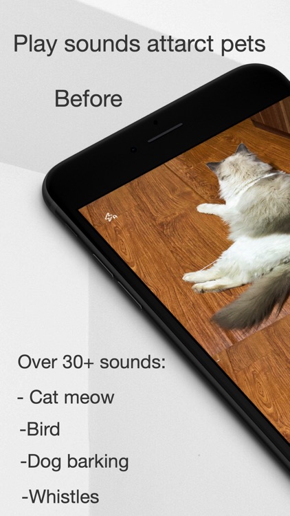 MeowCam-Play sound attract pet
