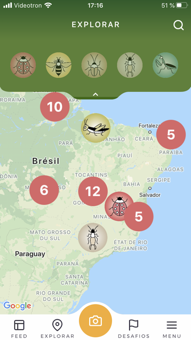 Vida de Inseto Screenshot