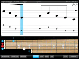 Game screenshot Banjo Lessons & Learn mod apk