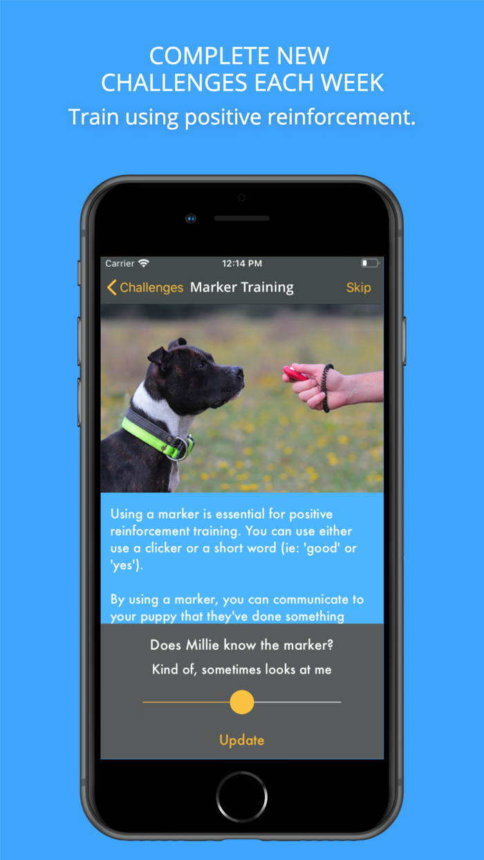 Social Puppy Dog Training App