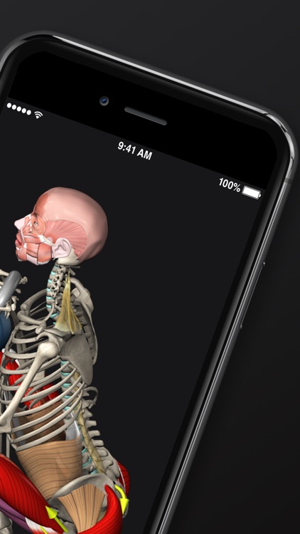 WORKOUTS by Muscle & Motion