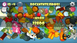 Поиск скрытых предметов айфон картинки 2