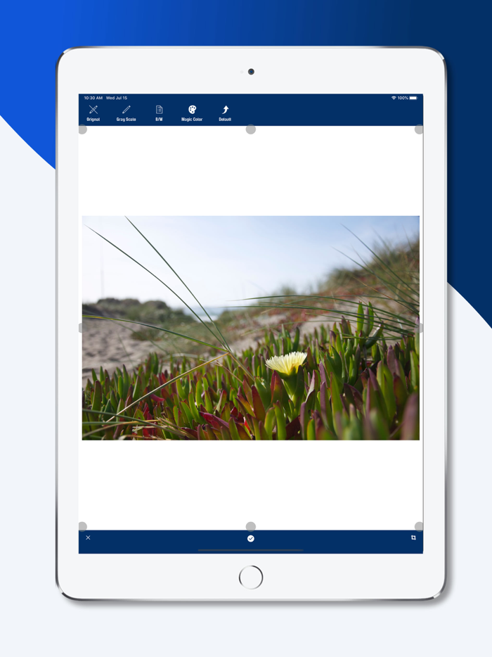 Document Scanner App