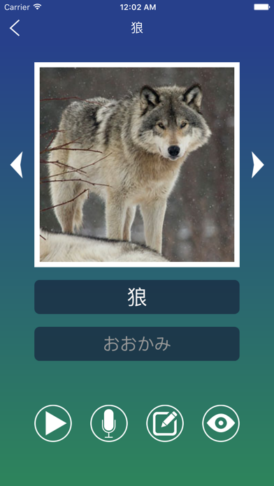 日本語単語フラッシュカード screenshot1
