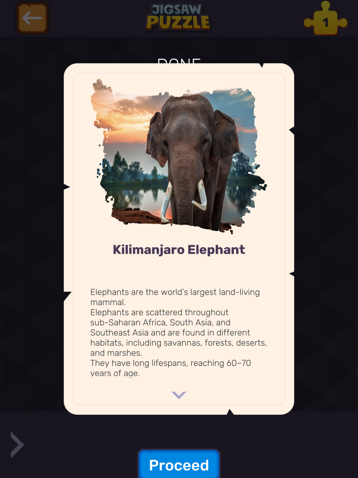 JIgsaw Puzzles Deluxe