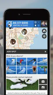 big city birds | spotteron iphone screenshot 3