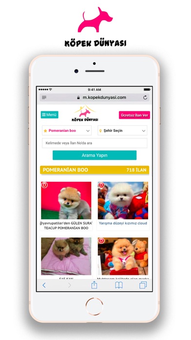 Köpek Dünyası Köpek İlanları Screenshot