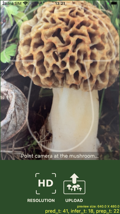 Mushrooms app Screenshot