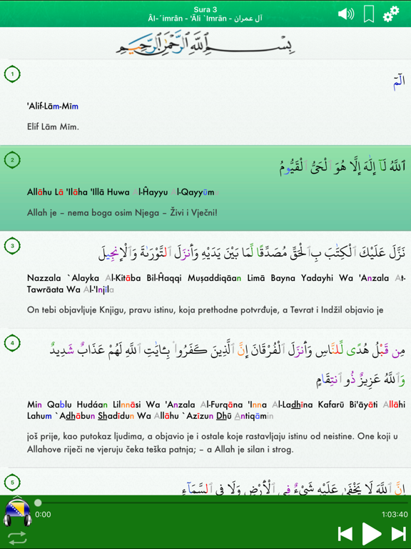 Quran Audio: Bosnian, Arabic screenshot 3
