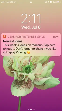 Game screenshot IdeasforPinterest mod apk