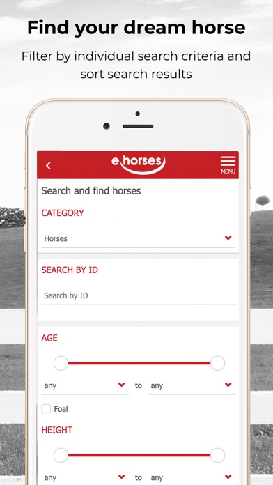 ehorses Screenshot
