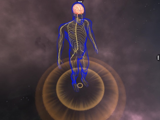 Screenshot #4 pour Human Nervous system