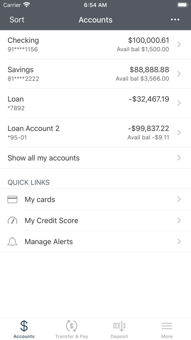 Louviers FCU Screenshot