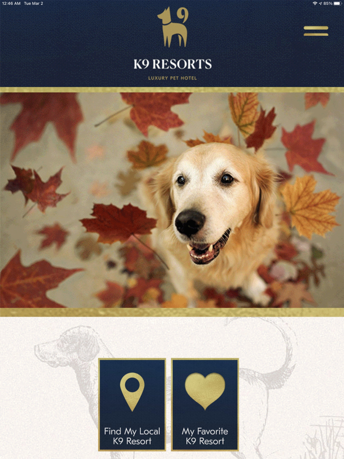 K9 Resorts Luxury Pet Hotel