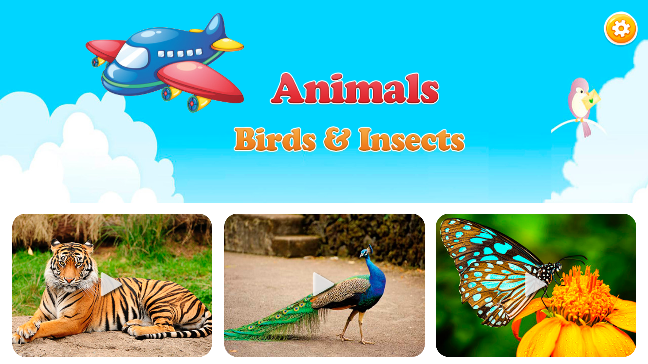 Animals Learning