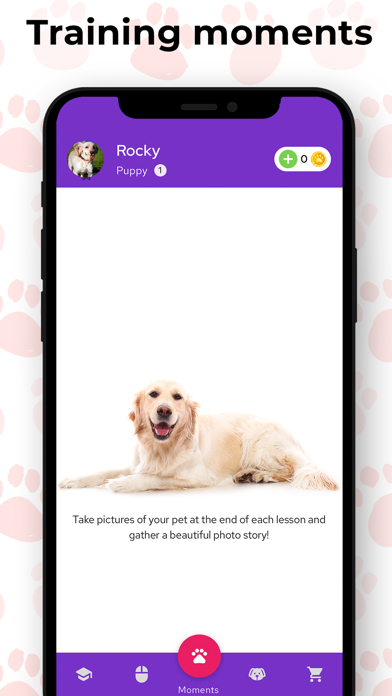 eTrainDog:Walkers & Trainings Screenshot