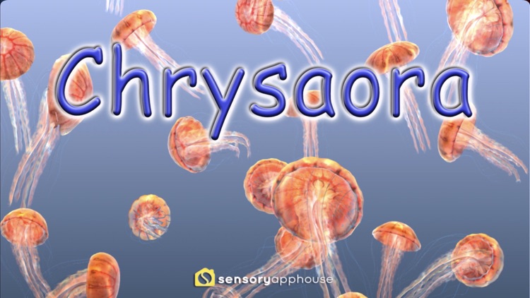 Jellyfish Chrysaora screenshot-0