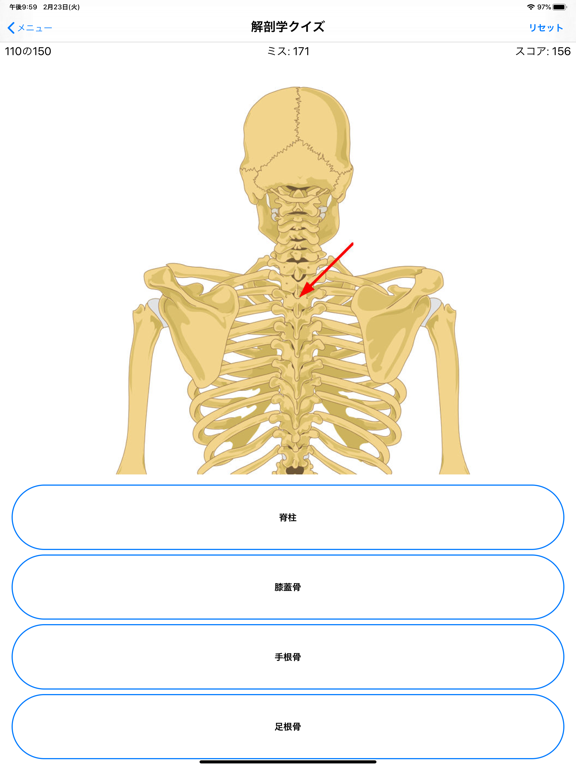 解剖学クイズのおすすめ画像6