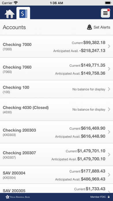 Texas Regional Bank Business Screenshot