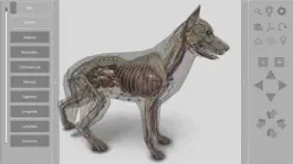 Game screenshot 3D Canine Anatomy hack
