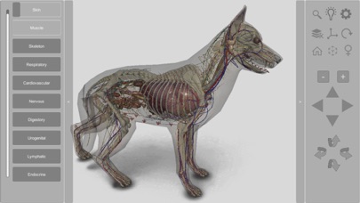 3D Canine Anatomyのおすすめ画像3