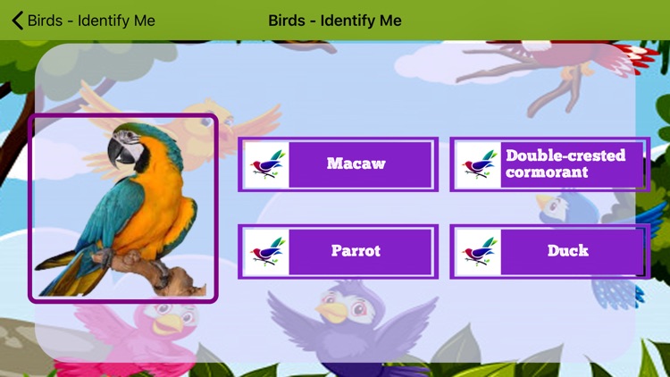 Birds - Identify Me screenshot-4