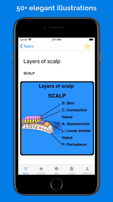 Anatnomics: Anatomy mnemonics Screenshot