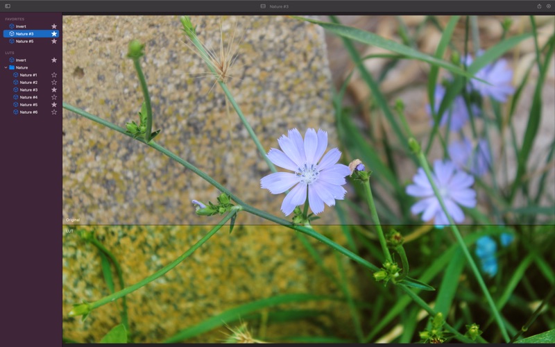 Screenshot #2 pour LUT Viewer