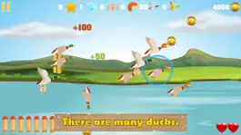 Game screenshot Duck Hunter - Funny Game mod apk