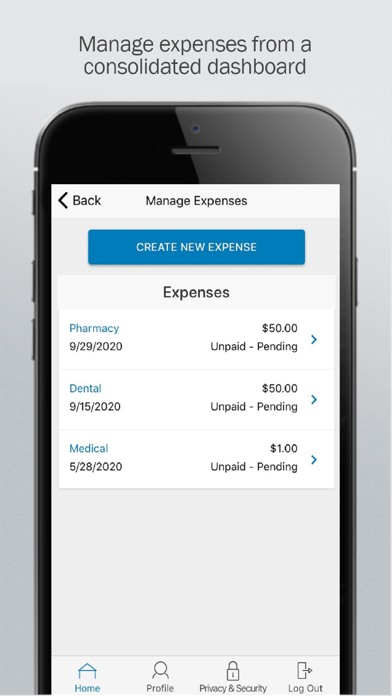 LBS Health Spending App Screenshot