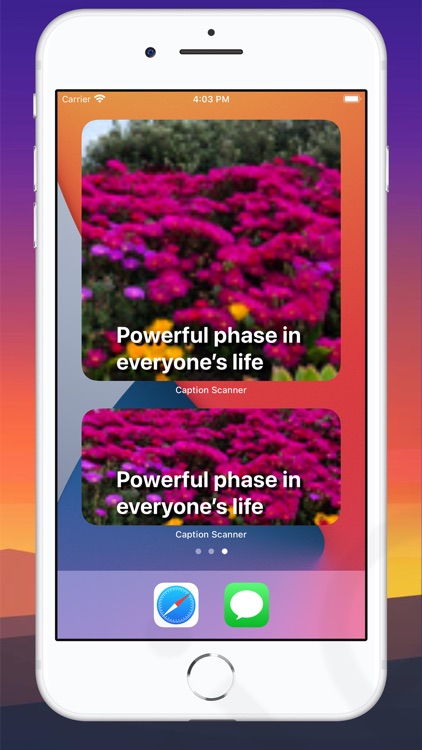 Caption Scanner screenshot-6