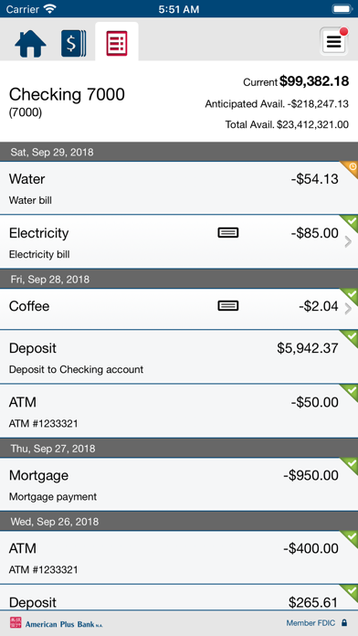 American Plus Bank Business Screenshot